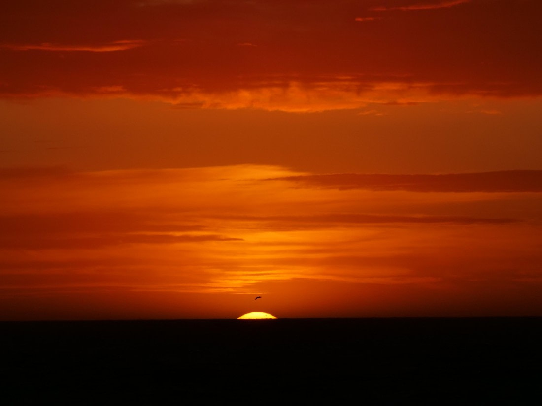 HDS25-25, Day 2, Jade-HDS25-25-Day2 (14) © Jade Heister - Oceanwide Expeditions.JPG