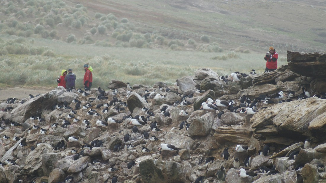 HDS25-25, Day 3, DSC01703 © Unknown photographer - Oceanwide Expeditions.JPG