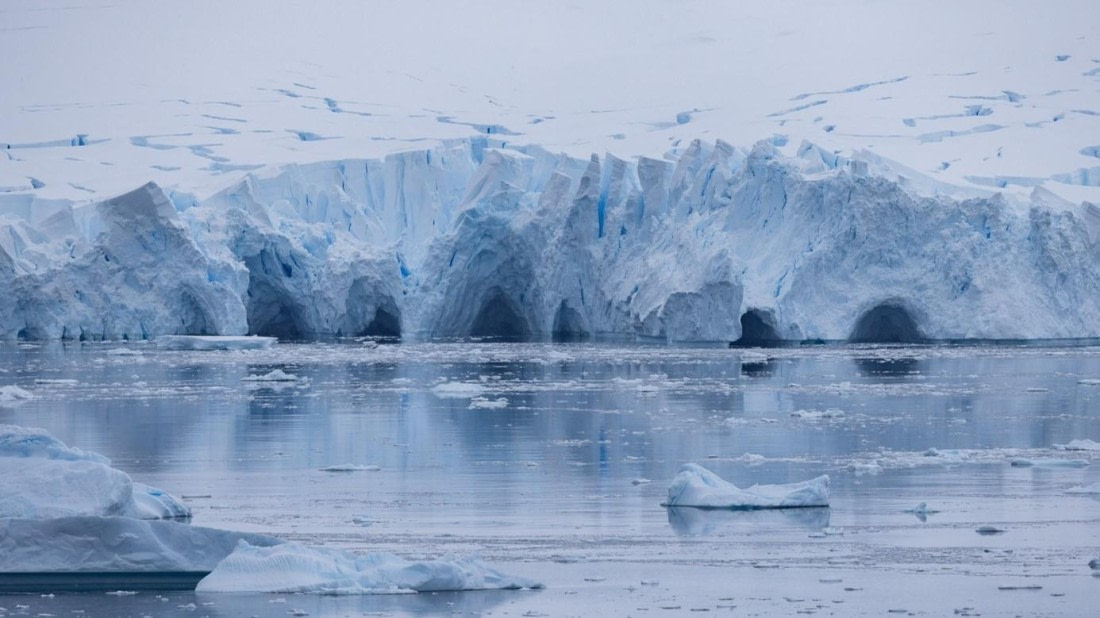 PLA25-25, Day 4, Picture14 © Unknown photographer - Oceanwide Expeditions.jpg