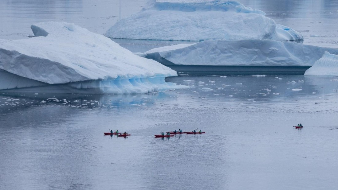 PLA25-25, Day 4, Picture16 © Unknown photographer - Oceanwide Expeditions.jpg