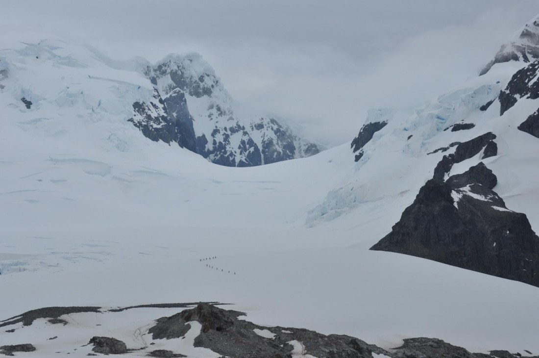 PLA25-25, Day 4, Picture20 © Unknown photographer - Oceanwide Expeditions.jpg