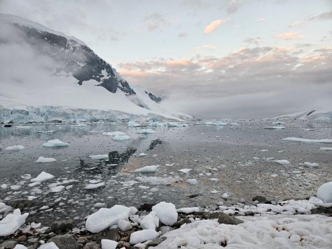 PLA25-25, Day 4, Picture21 © Unknown photographer - Oceanwide Expeditions.jpg