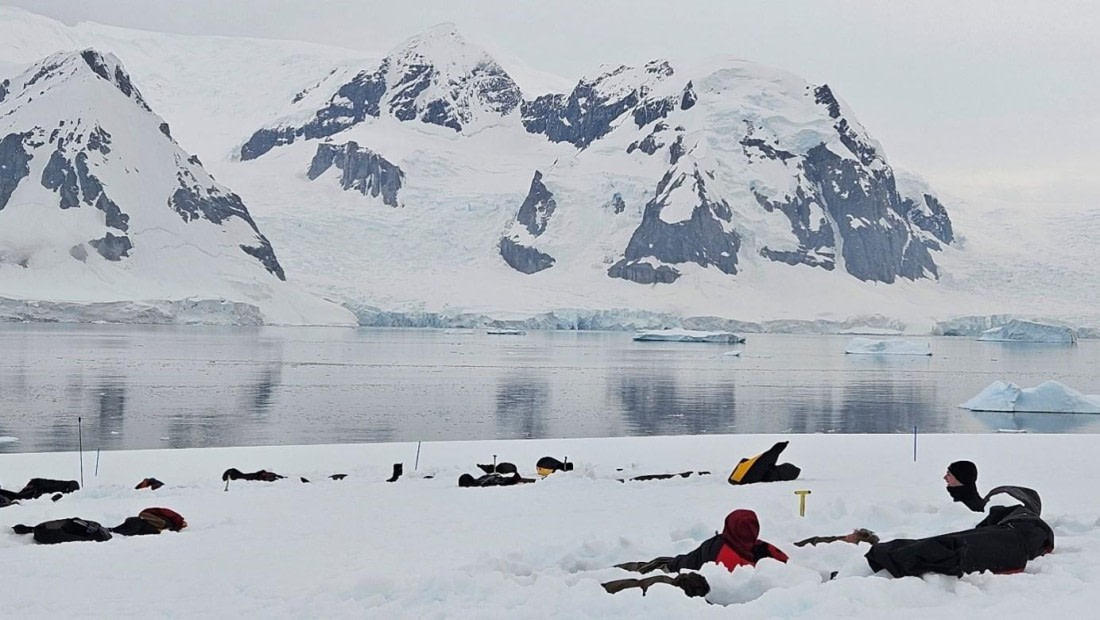 PLA25-25, Day 4, Picture22 © Unknown photographer - Oceanwide Expeditions.jpg