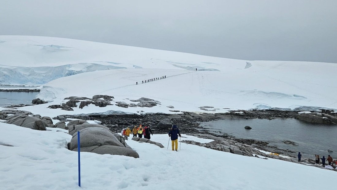 PLA25-25, Day 5, Picture23 © Unknown photographer - Oceanwide Expeditions.jpg