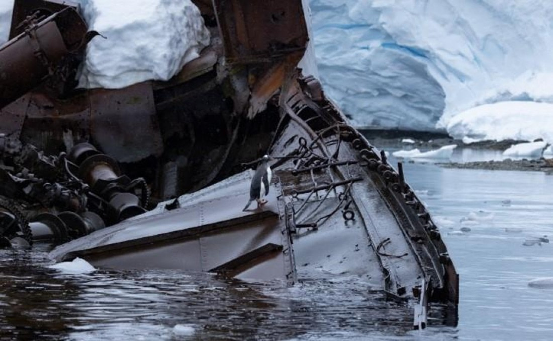 PLA25-25, Day 5, Picture26 © Unknown photographer - Oceanwide Expeditions.jpg