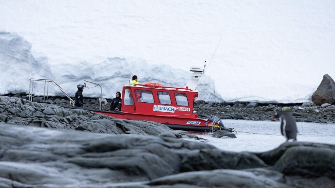 PLA25-25, Day 6, Picture31 © Unknown photographer - Oceanwide Expeditions.jpg