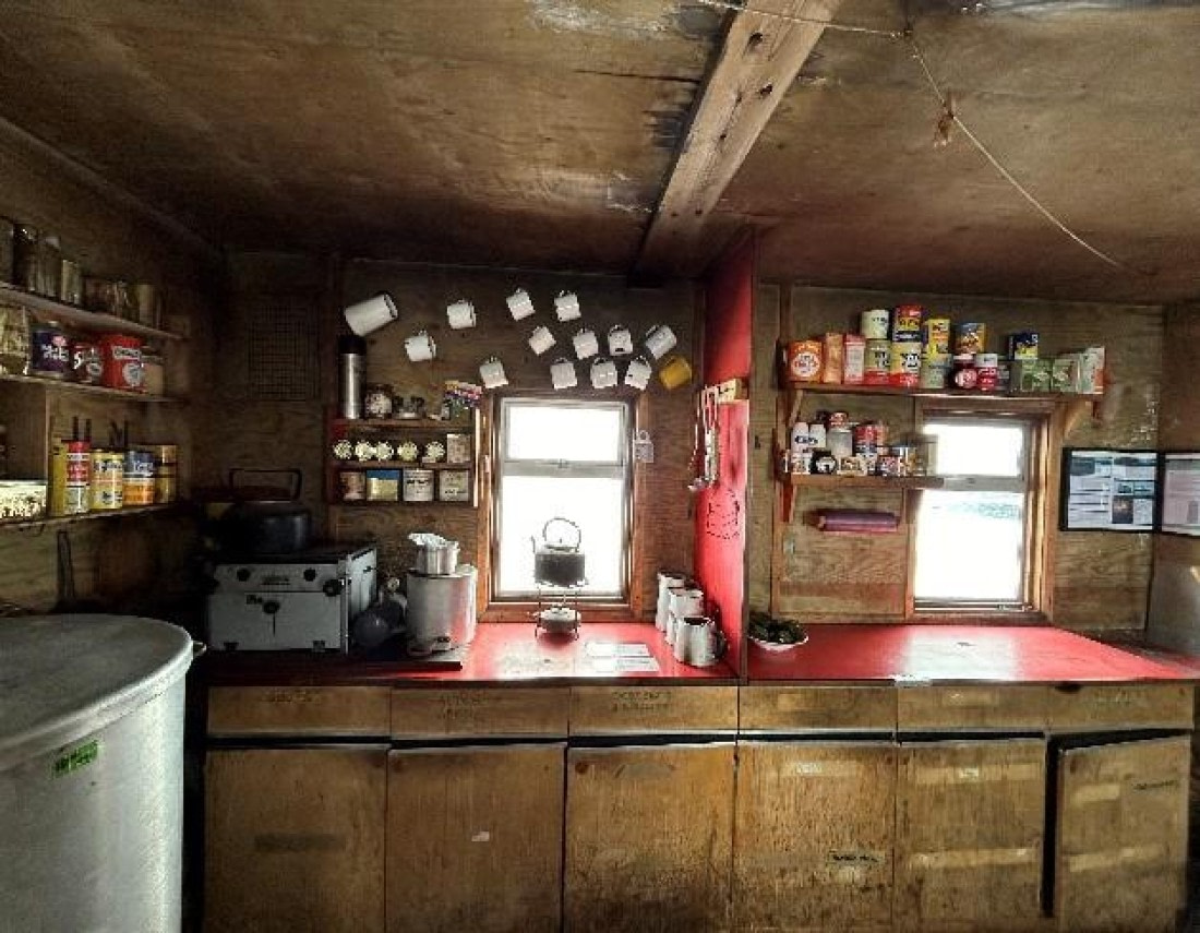 PLA25-25, Day 6, Picture33 © Unknown photographer - Oceanwide Expeditions.jpg