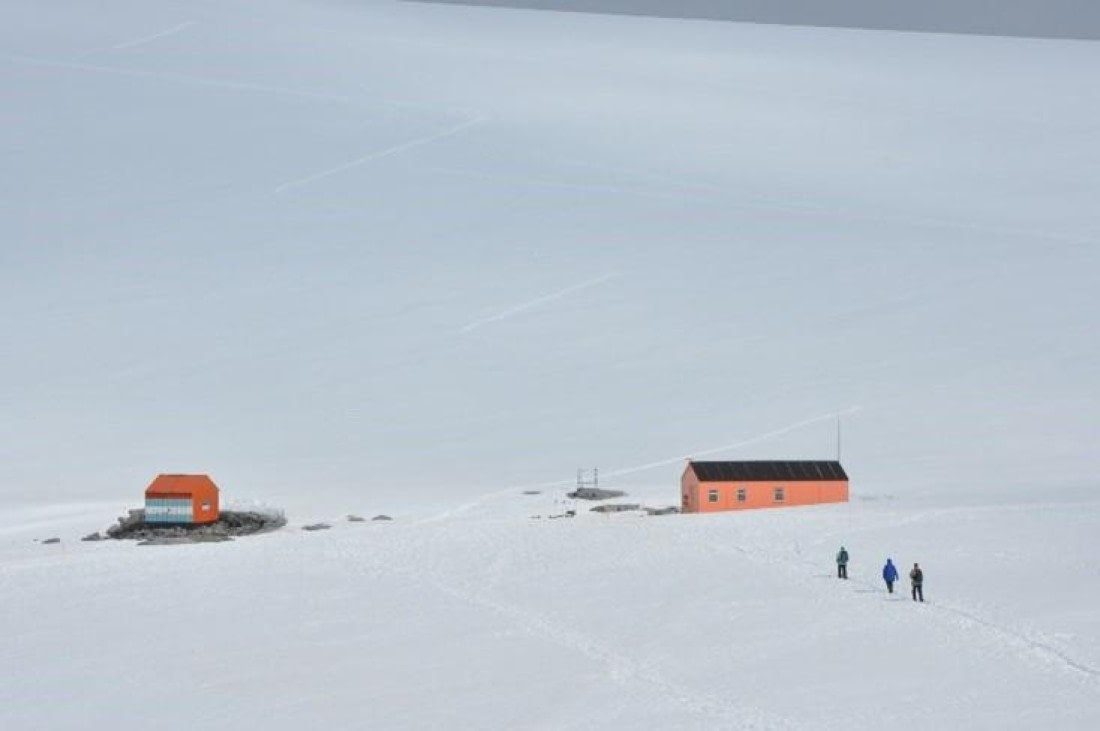 PLA25-25, Day 6, Picture34 © Unknown photographer - Oceanwide Expeditions.jpg