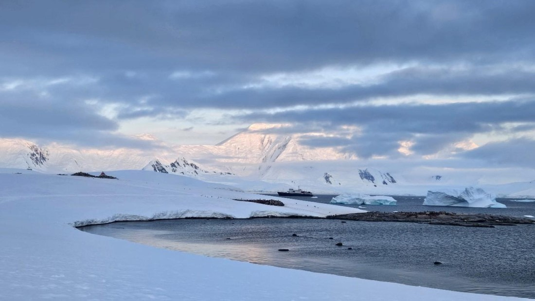 PLA25-25, Day 6, Picture42 © Unknown photographer - Oceanwide Expeditions.jpg