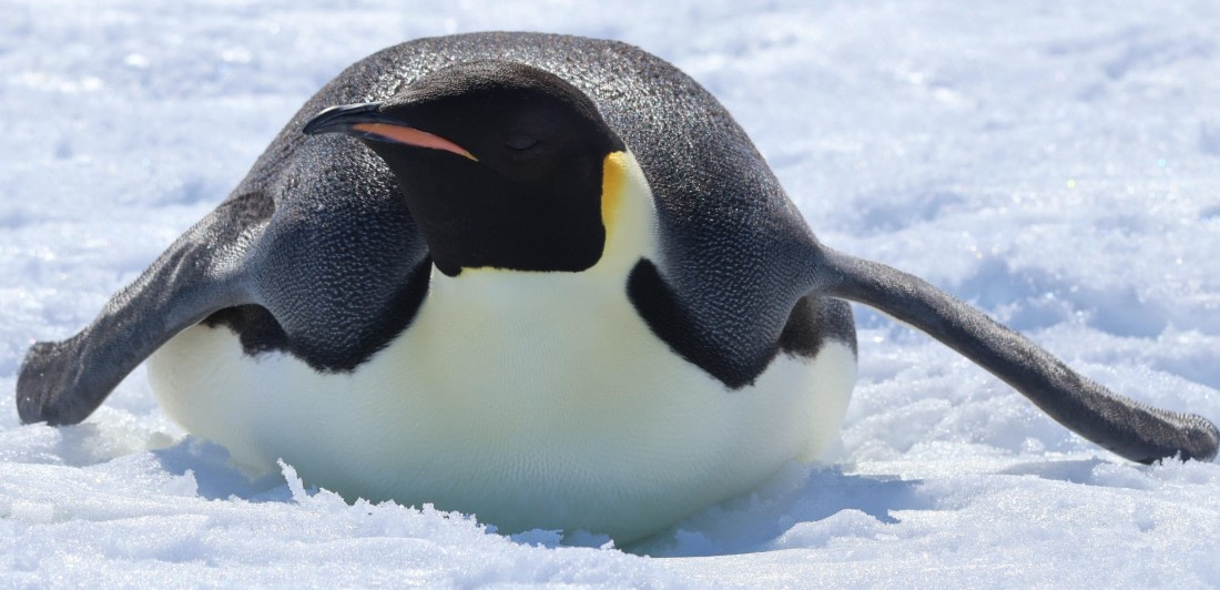 Up close and personal