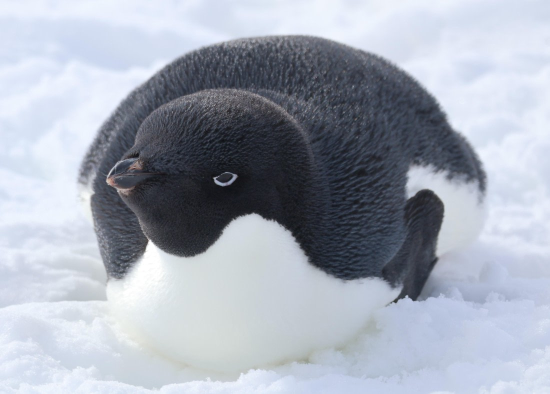 Up close and personal II