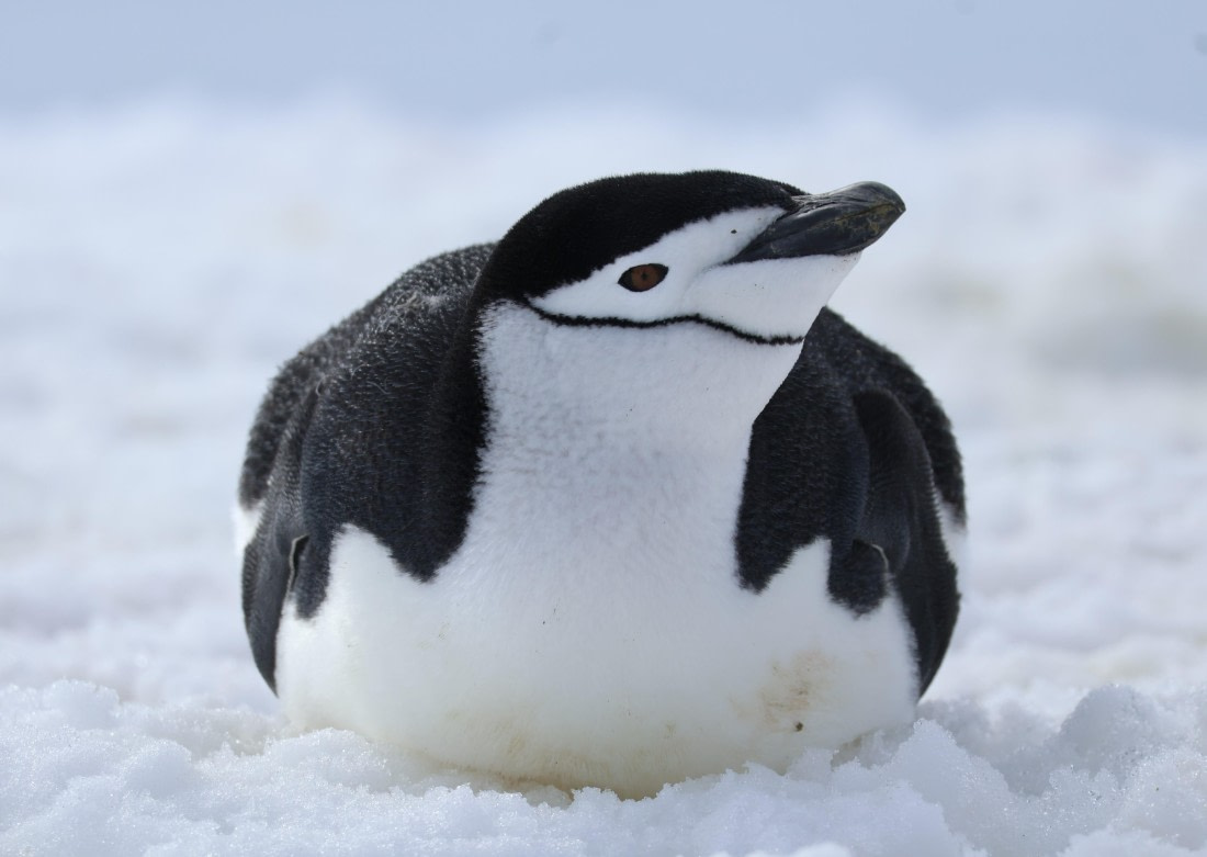 Up close and personal III