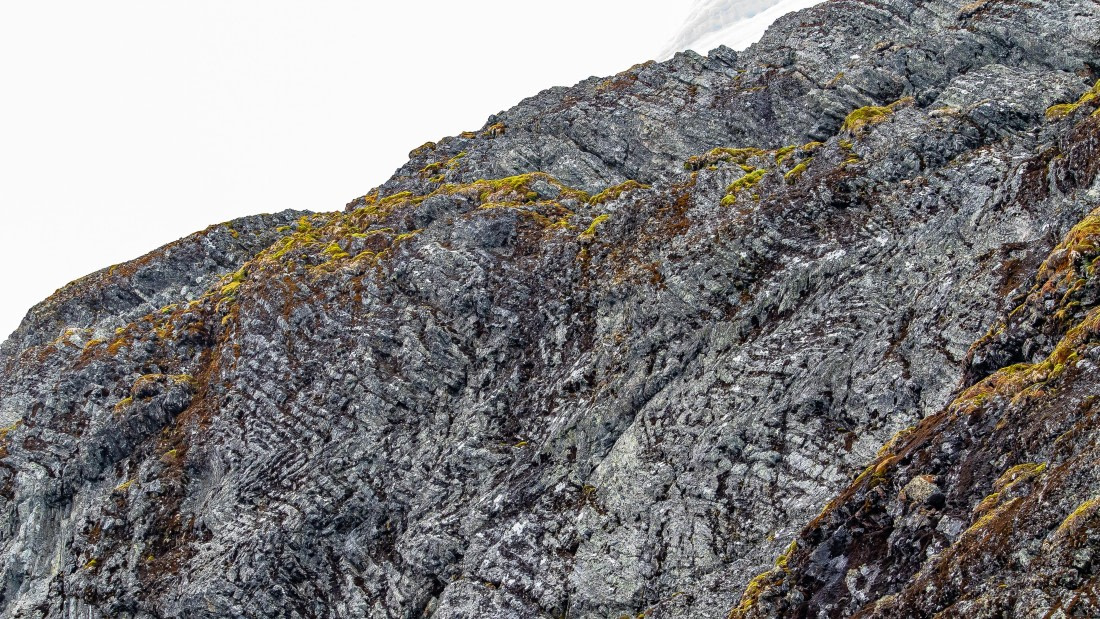 OTL26-25, Day 4, IMG_5205 © Koen Jongerling - Oceanwide Expeditions.jpg