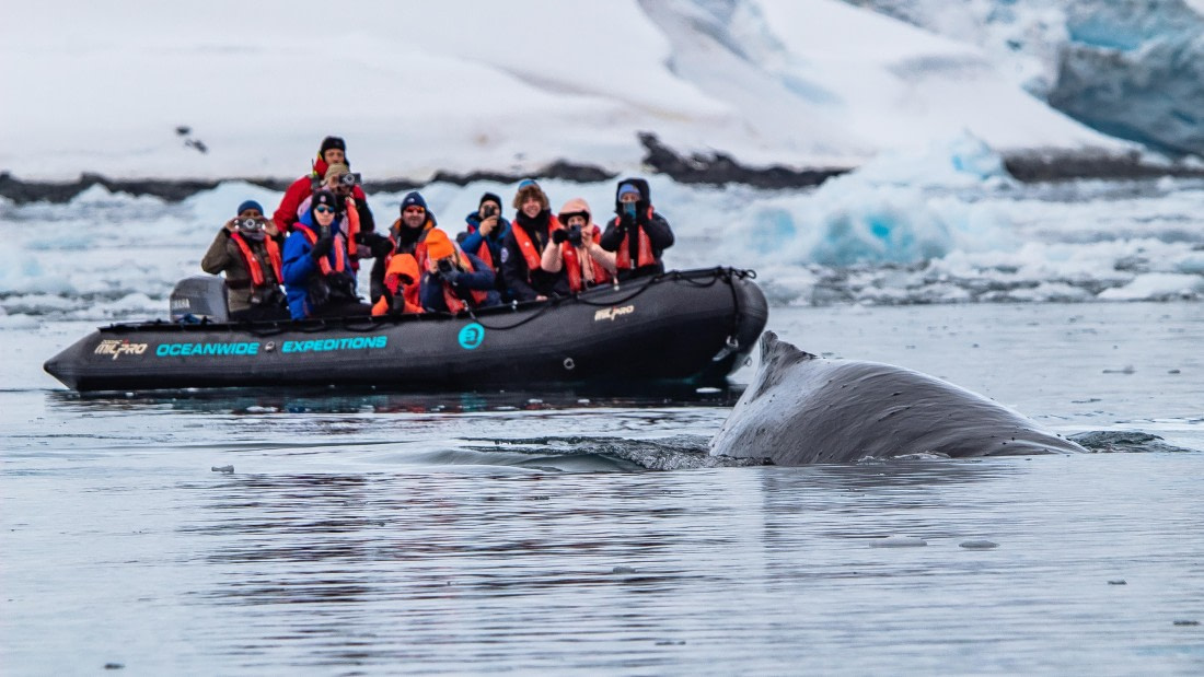 OTL26-25, Day 4, IMG_5214 © Koen Jongerling - Oceanwide Expeditions.jpg