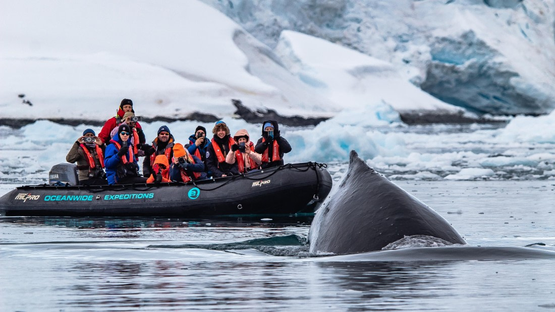 OTL26-25, Day 4, IMG_5215 © Koen Jongerling - Oceanwide Expeditions.jpg