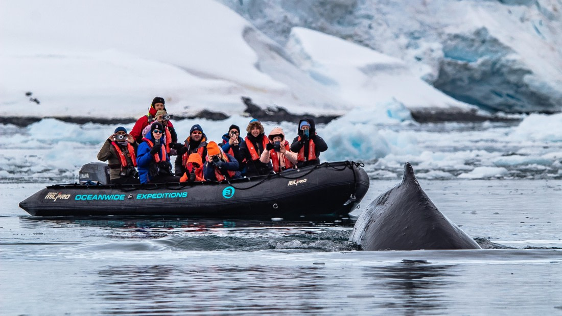 OTL26-25, Day 4, IMG_5216 © Koen Jongerling - Oceanwide Expeditions.jpg