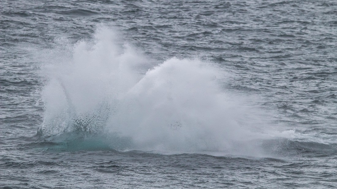 OTL26-25, Day 5, IMG_5336 © Koen Jongerling - Oceanwide Expeditions.jpg