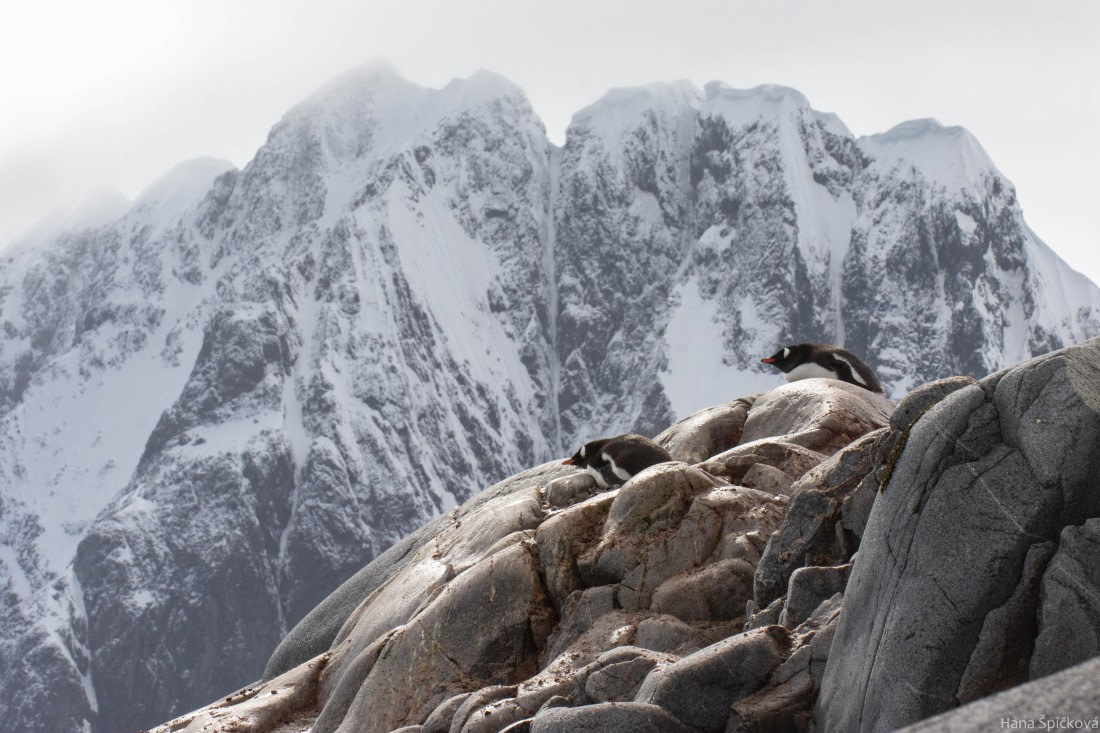 OTL26-25, Day 6, _DSC4635 © Hana Spickova - Oceanwide Expeditions.jpg