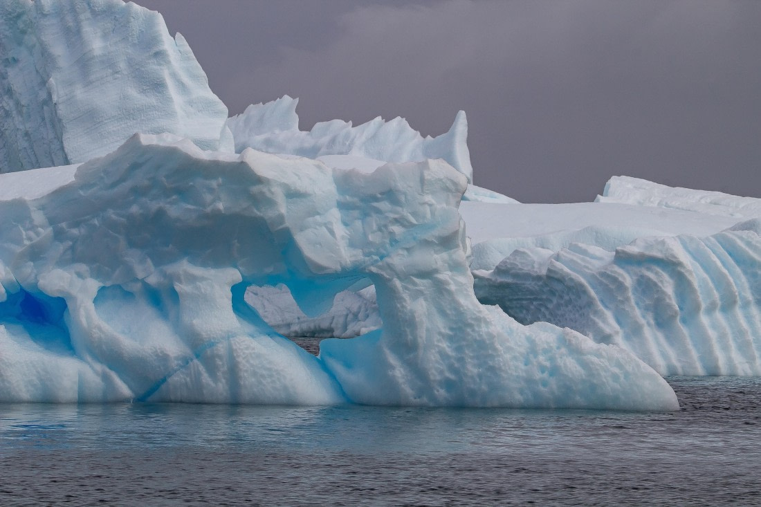 OTL26-25, Day 6, IMG_5432 © Koen Jongerling - Oceanwide Expeditions.jpg