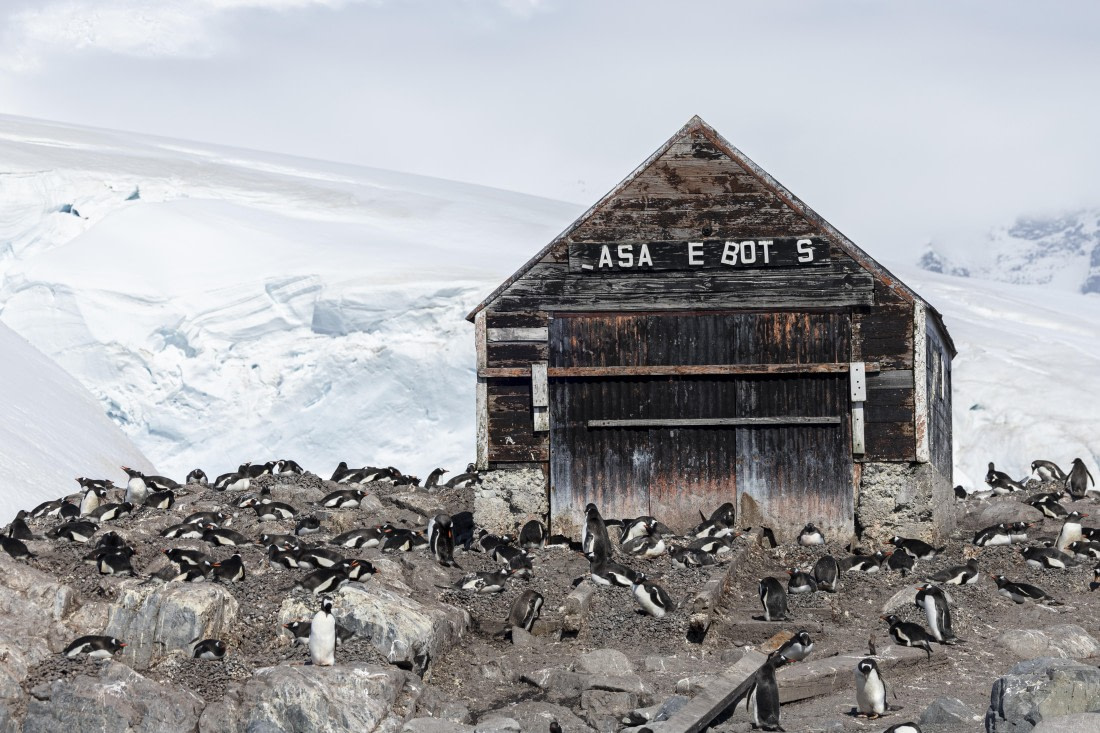 OTL26-25, Day 7, GV Station 2 © Sara Jenner - Oceanwide Expeditions.jpg