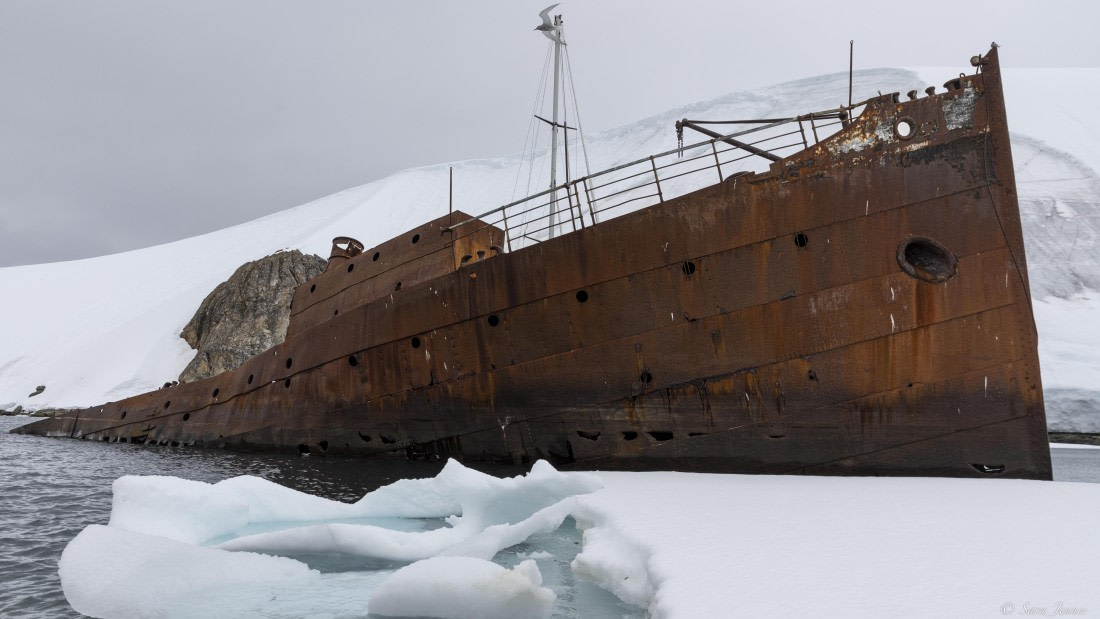 OTL26-25, Day 8, Foyn Harbour 3 © Sara Jenner - Oceanwide Expeditions.jpg