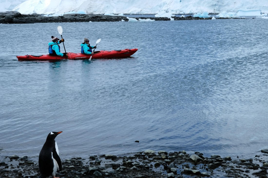 That's not how you swim