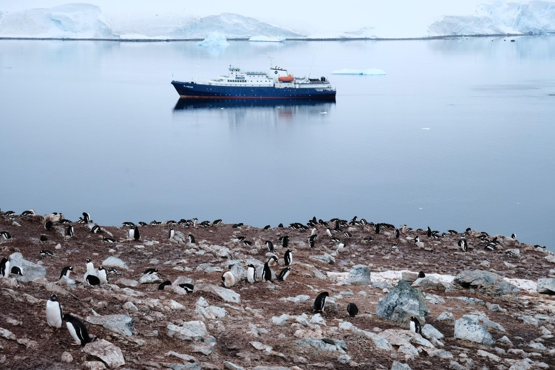 This Land is My Land