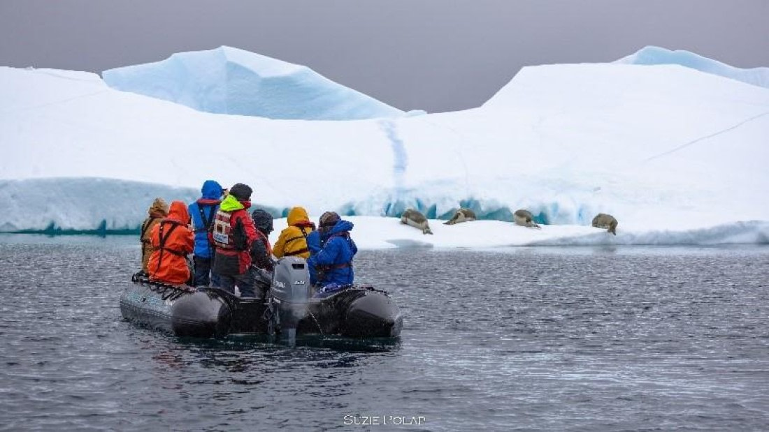 PLA26-25, Day 6, Picture13 © Susanne Polap - Oceanwide Expeditions.jpg