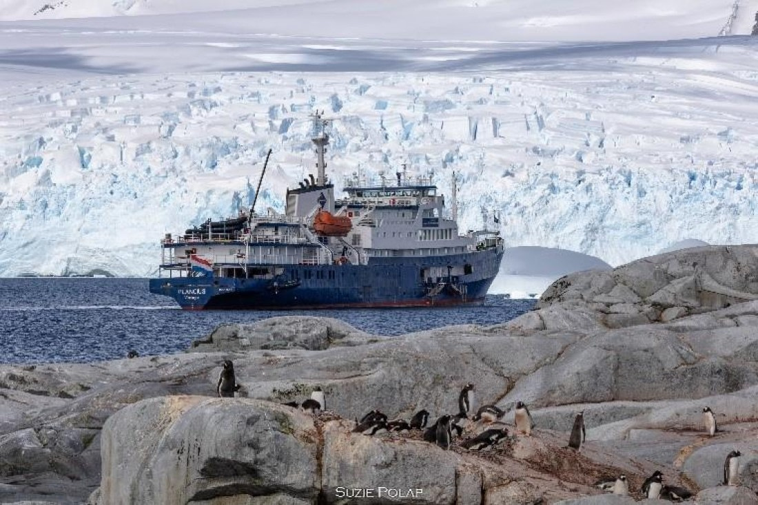 PLA26-25, Day 6, Picture15 © Susanne Polap - Oceanwide Expeditions.jpg