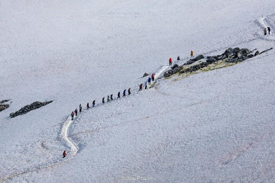 PLA26-25, Day 7, Picture21 © Susanne Polap - Oceanwide Expeditions.jpg