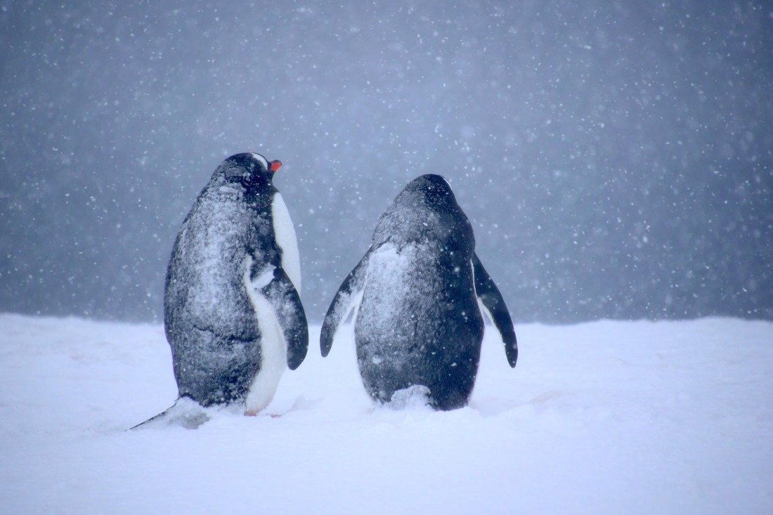 ich sehe nichts und du?