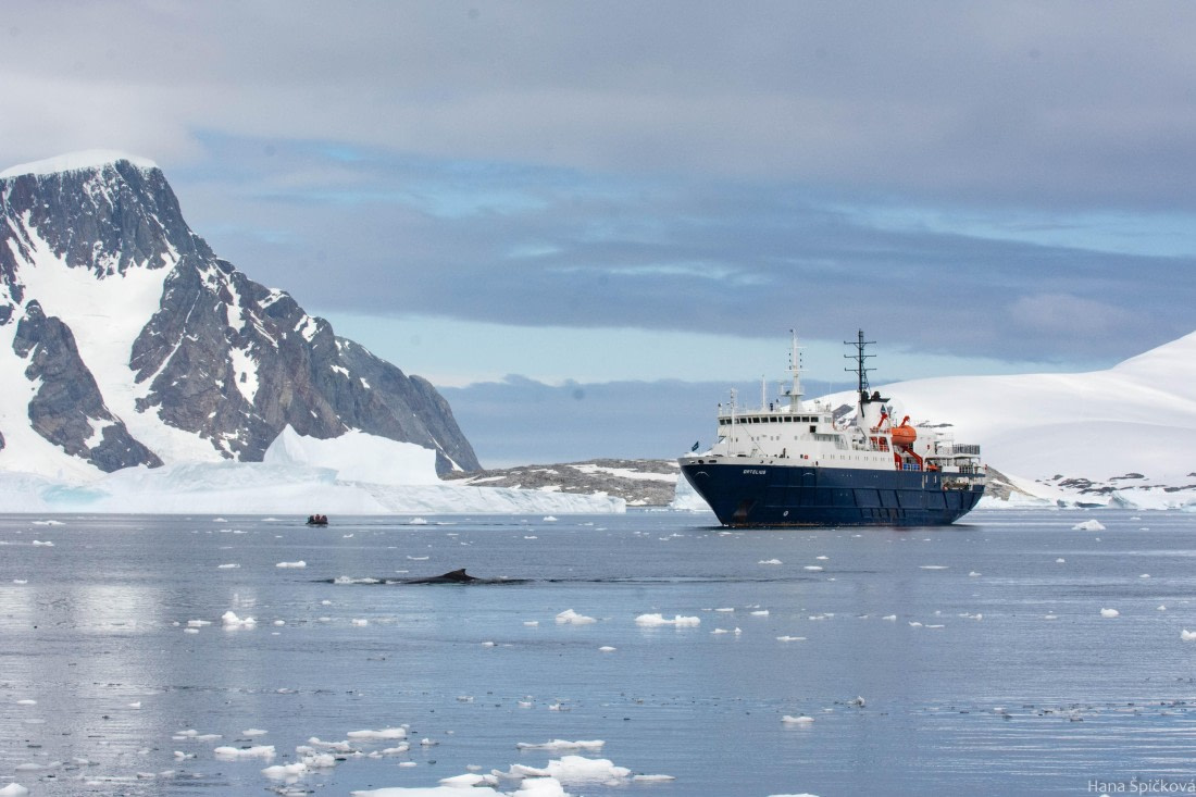 OTL27-25, Day 4, _DSC4786 © Hana Spickova - Oceanwide Expeditions.jpg