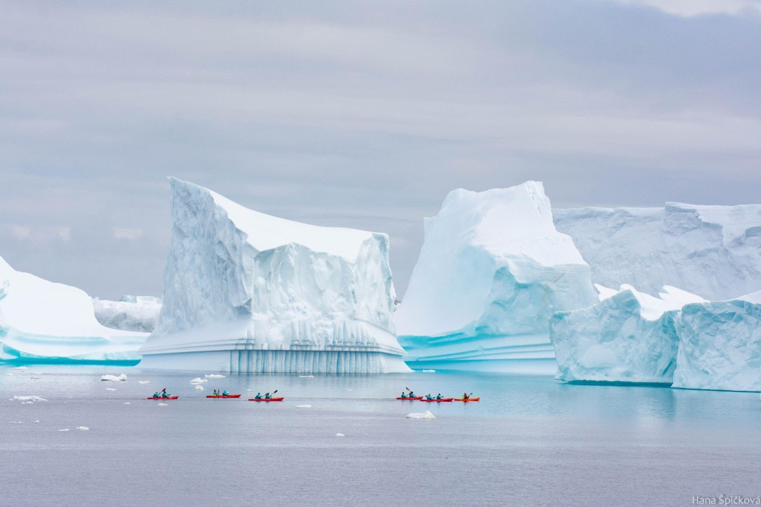 OTL27-25, Day 4, _DSC4788 © Hana Spickova - Oceanwide Expeditions.jpg