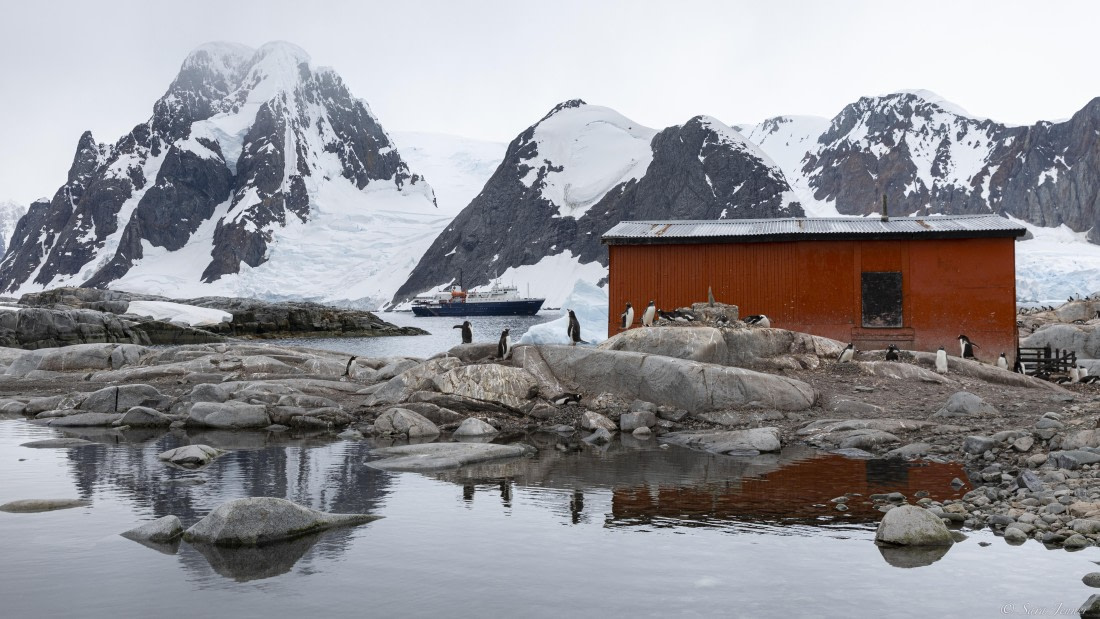 OTL27-25, Day 5, Petermann Island © Sara Jenner - Oceanwide Expeditions.jpg