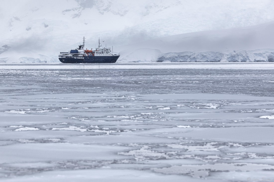 OTL27-25, Day 6, Foyn Harbour © Sara Jenner - Oceanwide Expeditions.jpg