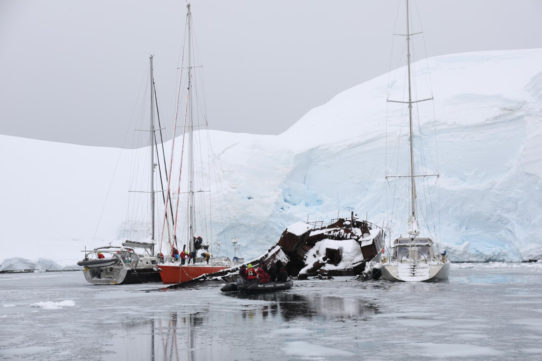 OTL27-25, Day 6, Foyn Sailing Boats x 3 © Unknown photographer - Oceanwide Expeditions.JPG