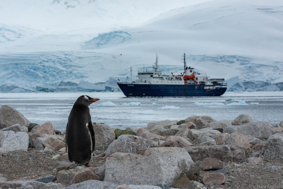 OTL27-25, Day 7, _DSC4909 © Hana Spickova - Oceanwide Expeditions.jpg