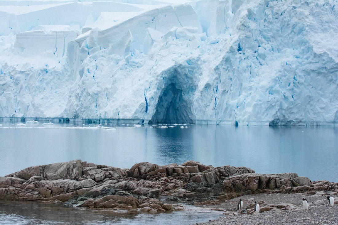 OTL27-25, Day 7, _DSC4948 © Hana Spickova - Oceanwide Expeditions.jpg
