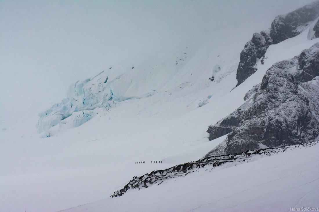 OTL27-25, Day 8, _DSC4967 © Hana Spickova - Oceanwide Expeditions.jpg