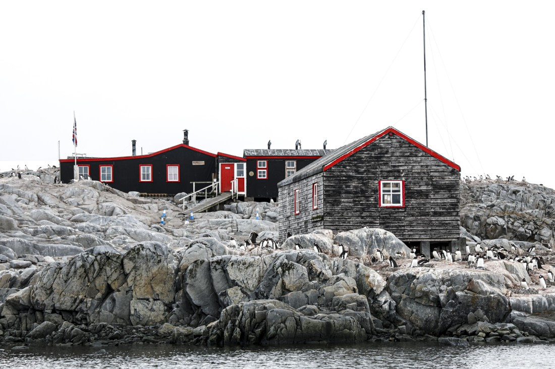 OTL27-25, Day 9, Port Lockroy © Sara Jenner - Oceanwide Expeditions.jpg