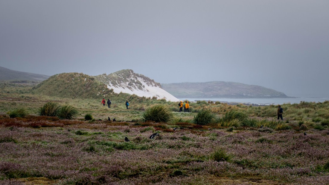 HDS26-25, Day 3, RLO_0585 © Alexander Romanovskiy - Oceanwide Expeditions.jpg