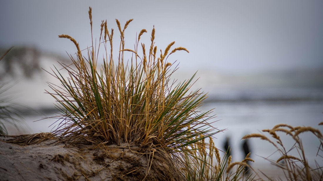 HDS26-25, Day 3, RLO_0592 © Alexander Romanovskiy - Oceanwide Expeditions.jpg