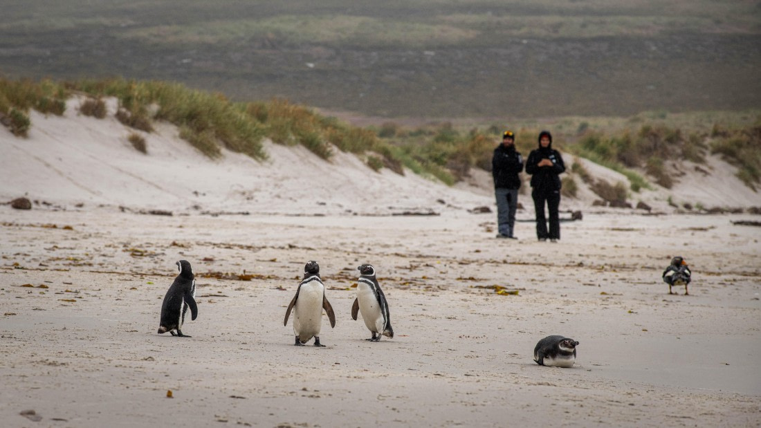 HDS26-25, Day 3, RLO_0609 © Alexander Romanovskiy - Oceanwide Expeditions.jpg
