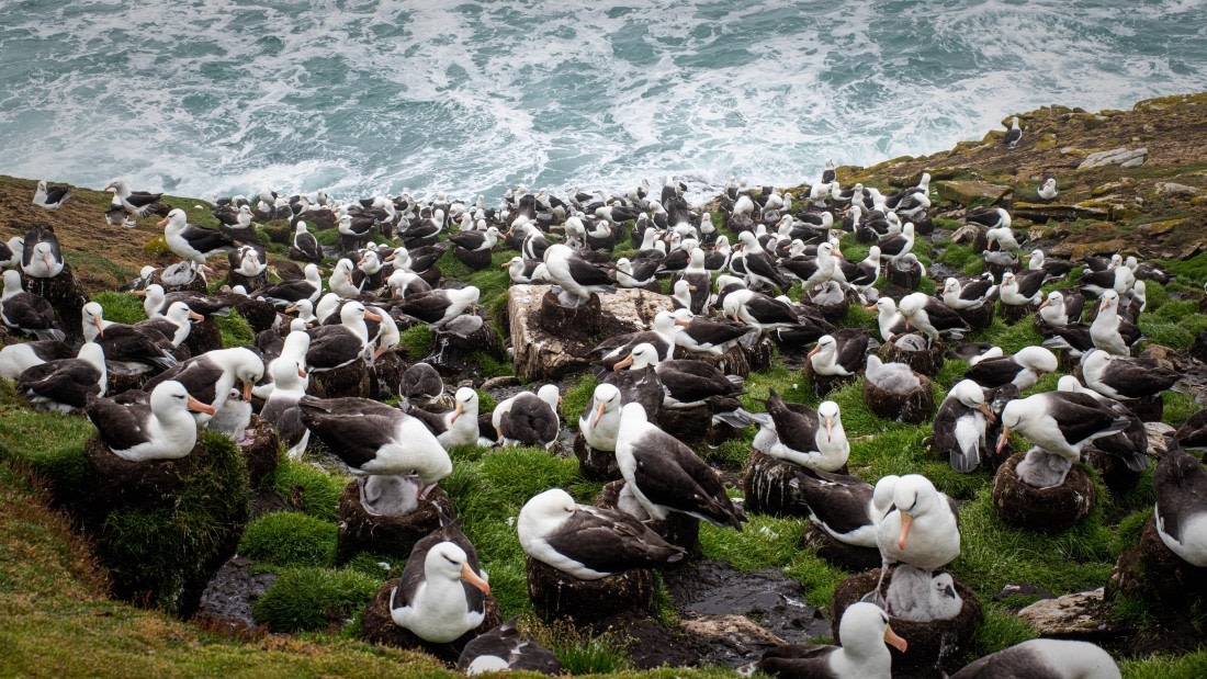 HDS26-25, Day 3, RLO_0699 © Alexander Romanovskiy - Oceanwide Expeditions.jpg