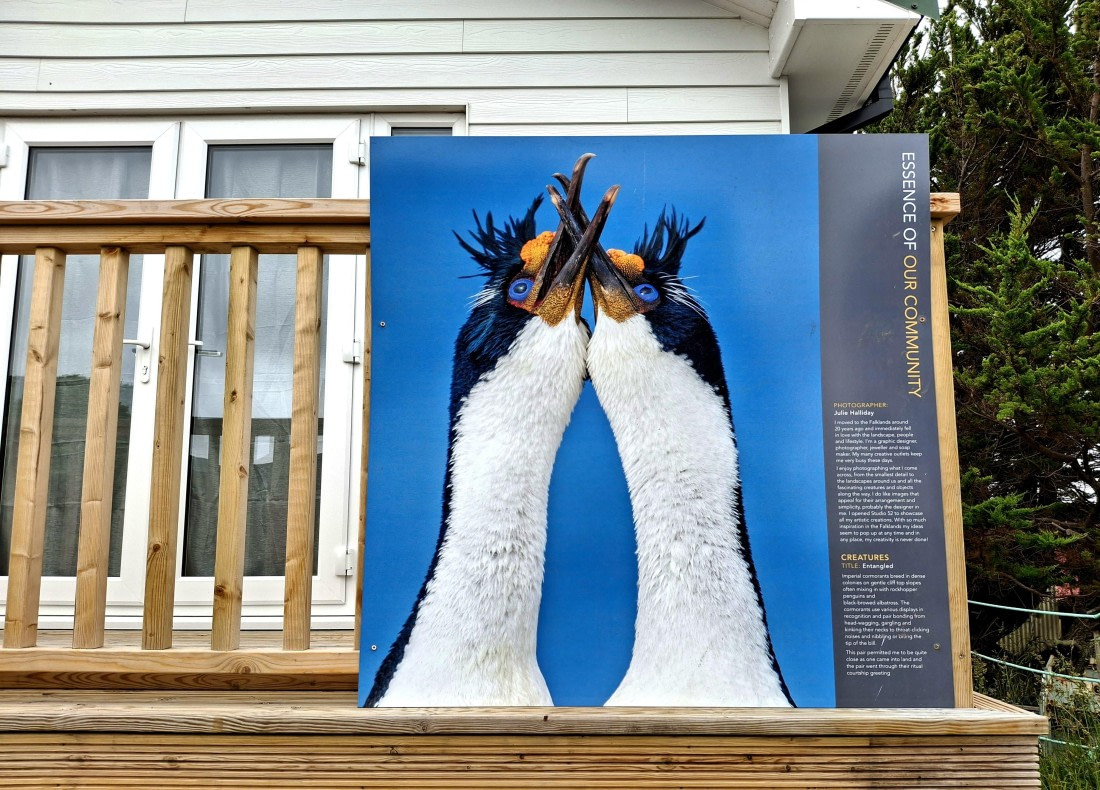 HDS26-25, Day 4, 20250107_103641 © Unknown photographer - Oceanwide Expeditions.jpg