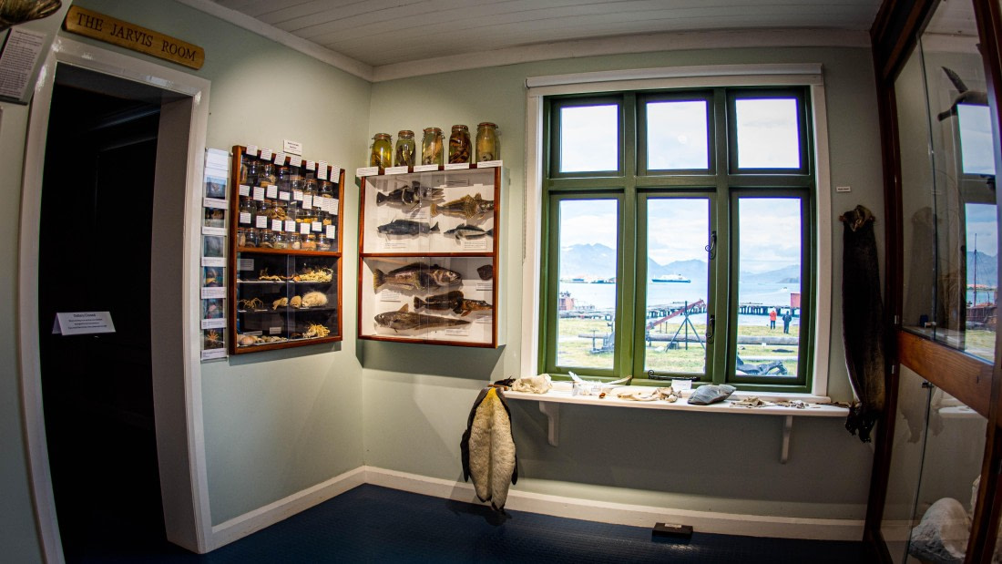 HDS26-25, Day 7, PAZ_9398 © Alexander Romanovskiy - Oceanwide Expeditions.jpg