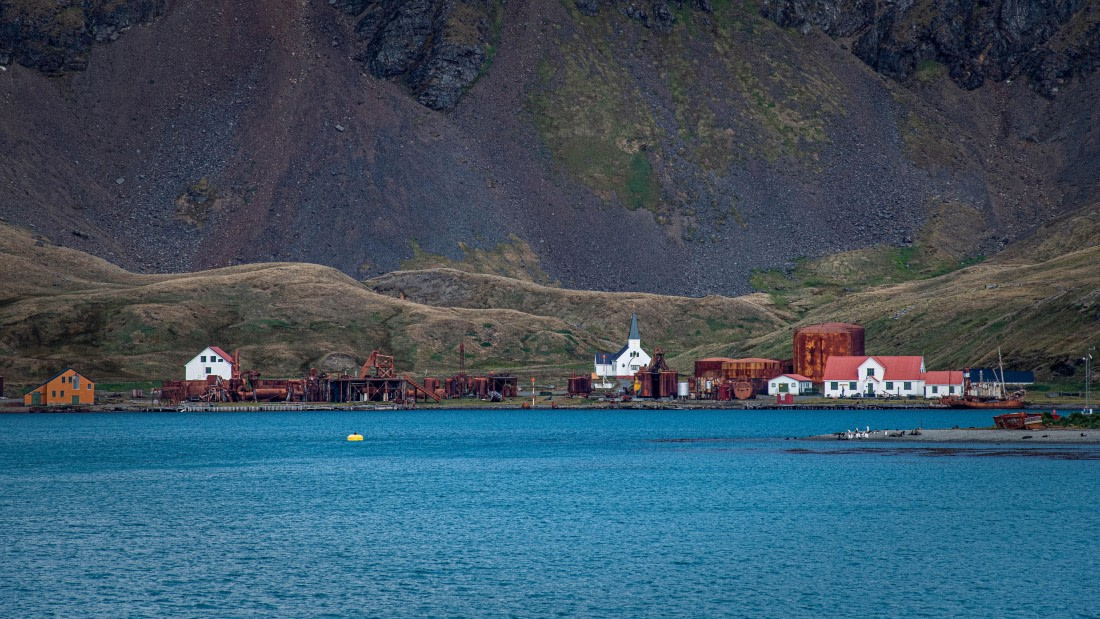 HDS26-25, Day 7, RLO_0982 © Alexander Romanovskiy - Oceanwide Expeditions.jpg