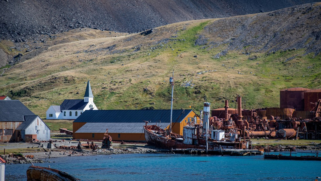 HDS26-25, Day 7, RLO_0988 © Alexander Romanovskiy - Oceanwide Expeditions.jpg