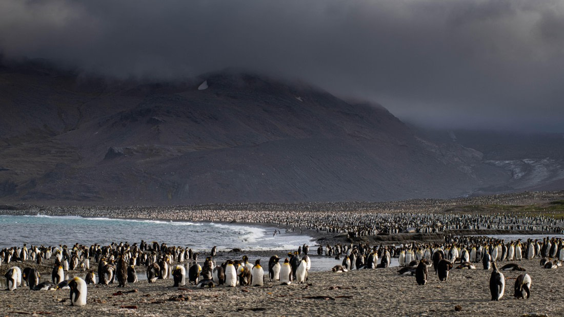 HDS26-25, Day 7, RLO_1045 © Alexander Romanovskiy - Oceanwide Expeditions.jpg
