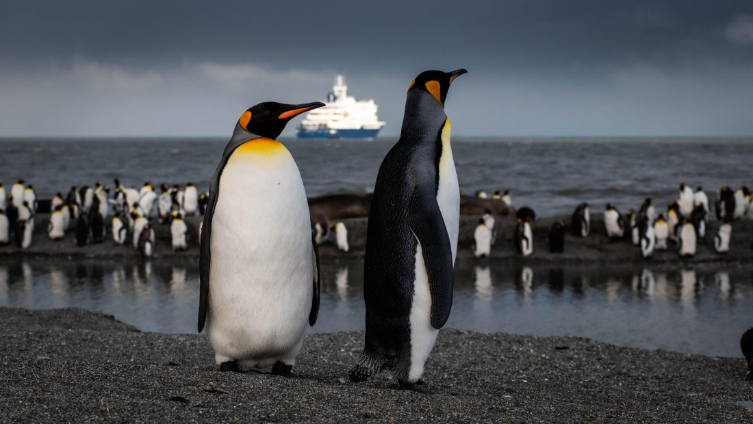 HDS26-25, Day 7, RLO_1053 © Alexander Romanovskiy - Oceanwide Expeditions.jpg